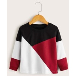 Toddler Girls Contrast Panel Crew Neck Sweatshirt