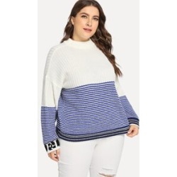 Plus Two Tone Striped Sweater