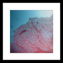 By the Seaside IV Framed Print Frame Colour: Black, Size: Small Square