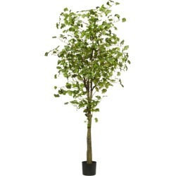 Set of 2 180cm Faux Ginkgo Trees