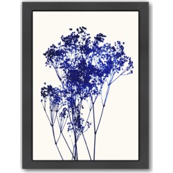 Babys Breath 1 Printed Wall Art Frame / Size: Framed Paper Print / 65 x 47cm