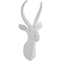 Curved Antelope Modern Wall Mount