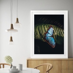 Social Butterfly Printed Wall Art Size: 80 x 60cm