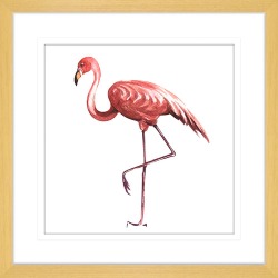 Flora and Fauna II Framed Print Frame Colour: Oak, Size: Small Square