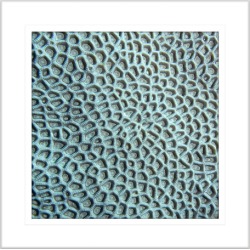 By the Seaside XIV Framed Print Frame Colour: White, Size: Small Square
