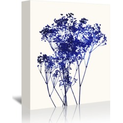 Babys Breath 1 Printed Wall Art Frame / Size: Stretched Canvas / 90 x 59cm