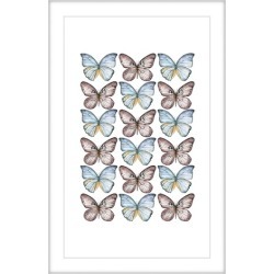 Butterflies in Rows Framed Print Size: 45 x 30cm