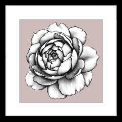 In Bloom II Framed Print Frame Colour: Black, Size: Medium Square