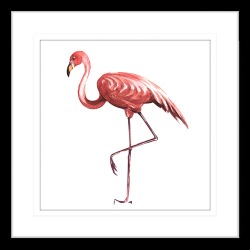 Flora and Fauna II Framed Print Frame Colour: Black, Size: Large Square