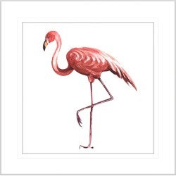 Flora and Fauna II Framed Print Frame Colour: White, Size: Small Square