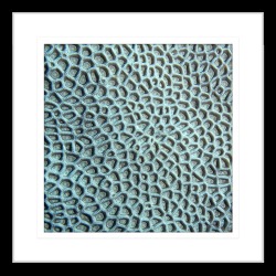 By the Seaside XIV Framed Print Frame Colour: Black, Size: Small Square