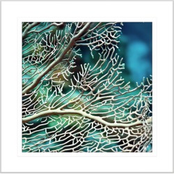 By the Seaside XV Framed Print Frame Colour: White, Size: Medium Square