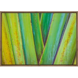 Expressive Canvas Wall Art Size / Frame: 59 x 40cm / Natural Floating Frame