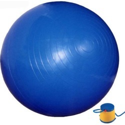 Anti-Burst 65cm Gym Ball