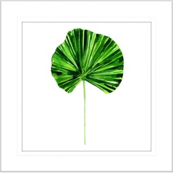 Flora and Fauna II Framed Print Frame Colour: White, Size: Medium Square
