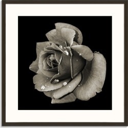 I Miss You Printed Wall Art Frame / Size: Black Framed Print / 76 x 76cm x 2cm