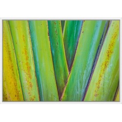 Expressive Canvas Wall Art Size / Frame: 75 x 50cm / White Floating Frame