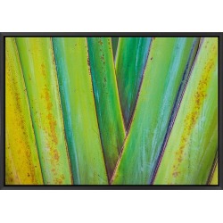 Expressive Canvas Wall Art Size / Frame: 59 x 40cm / Black Floating Frame