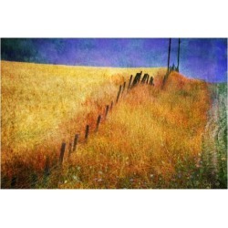 Giclee Painting: Vest's Montana Backroad, 36x48in. found on Bargain Bro from Allposters.com for USD $97.28
