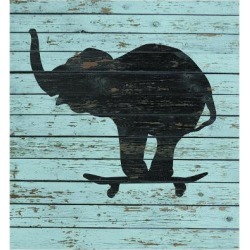 Giclee Print: Elephant on Skateboard on Old Board by J Hovenstine Studios: 16x16in