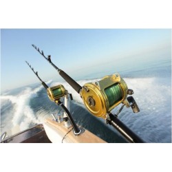 Premium Giclee Print: Big Game Fishing Reels & Rods: 9x12in