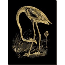 Stretched Canvas Print: Flamingo 1 Golden Black by Amy Brinkman: 44x33in found on Bargain Bro from Art.com for USD $121.60