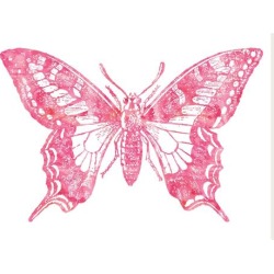 Stretched Canvas Print: Butterfly 2 Pink Watercolor by Amy Brinkman: 30x40in found on Bargain Bro Philippines from Art.com for $140.00
