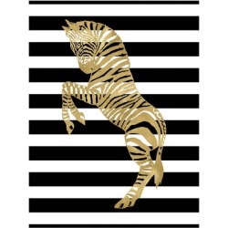Giclee Print: Zebra Black White Stripe by Amy Brinkman: 48x36in found on Bargain Bro Philippines from Art.com for $138.00