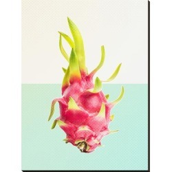 Stretched Canvas Print: Passion Fruit by Ikonolexi: 48x36in found on Bargain Bro from Art.com for USD $231.80