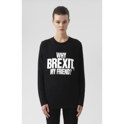 Why Brexit Long Sleeves T-Shirt