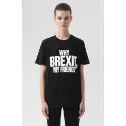 Why Brexit short Sleeves T-Shirt