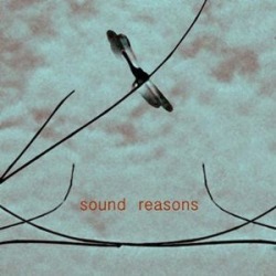 Sound Reasons (T0) / Various