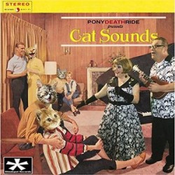 Cat Sounds