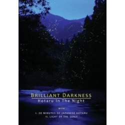 Brilliant Darkness