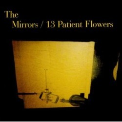 13 Patient Flowers