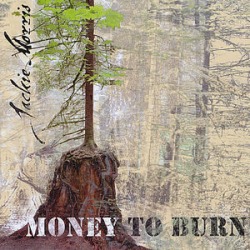 Money to Burn found on Bargain Bro from Deep Discount for USD $15.00