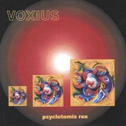 Psyclotomis Rex
