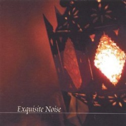 Exquisite Noise
