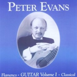 Flamenco & Classical Guitar Vol. 1