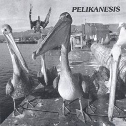 Pelikanesis I