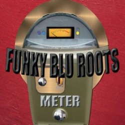 Meter