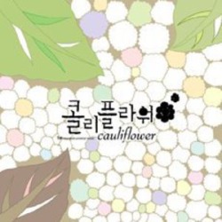Cauliflower (IMPORT)