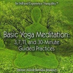 Basic Yoga Meditation