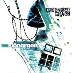 Orgonised Chaos