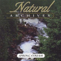 Spring Stream