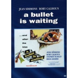 A Bullet Is Waiting