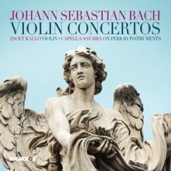 Violin Cons