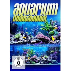 Aquarium Meditation