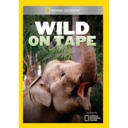 Wild on Tape