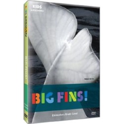 Big Fins
